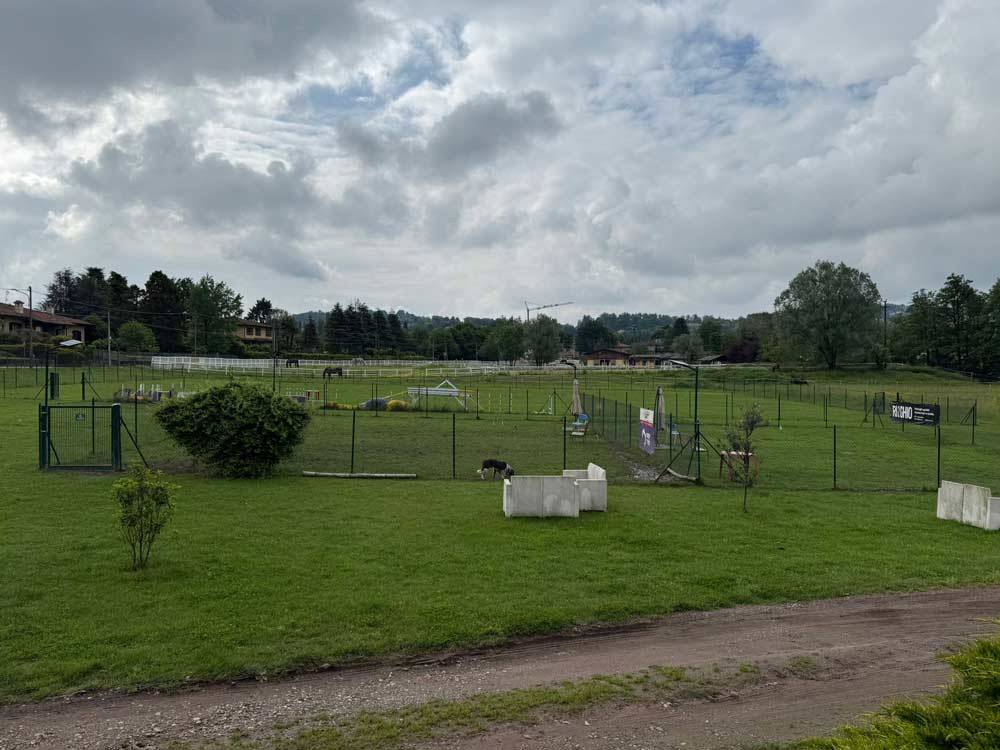 cb-smart-technology-scuola-cinofila-impianto-videosorveglianza-antintrusione-2