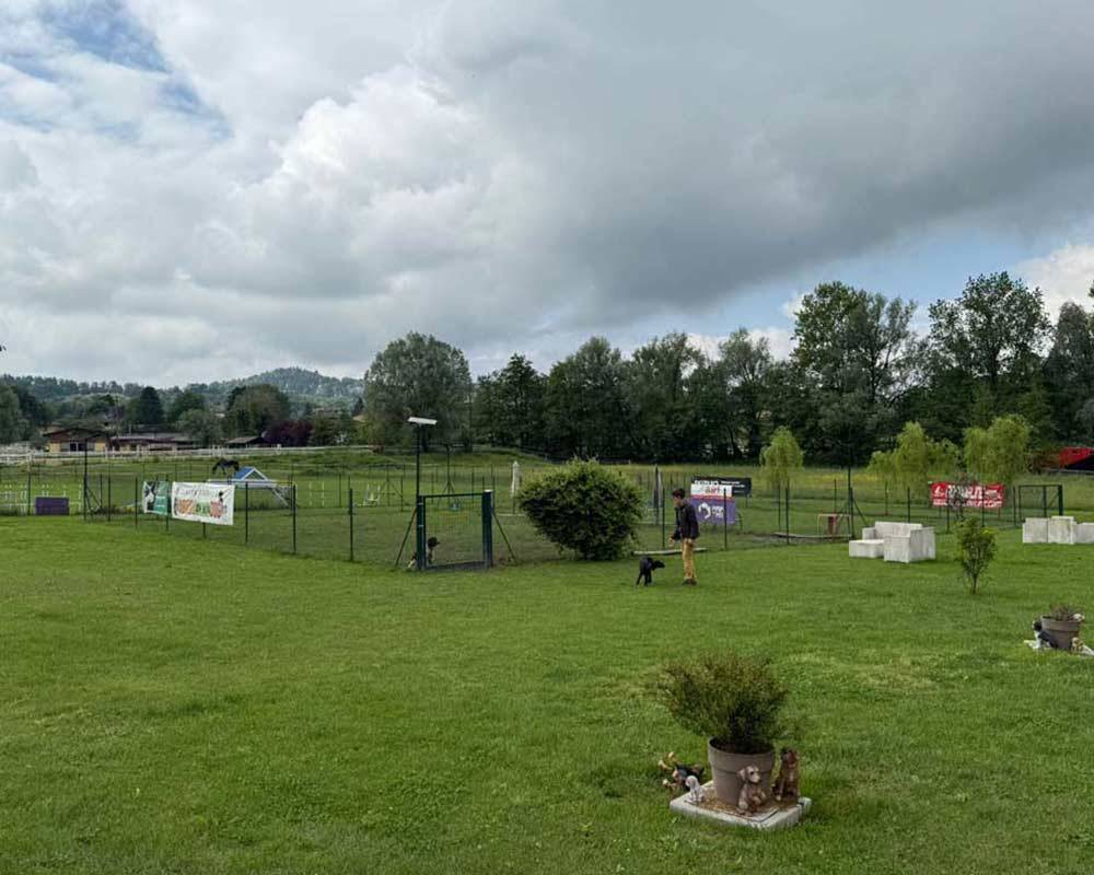 cb-smart-technology-scuola-cinofila-impianto-videosorveglianza-antintrusione