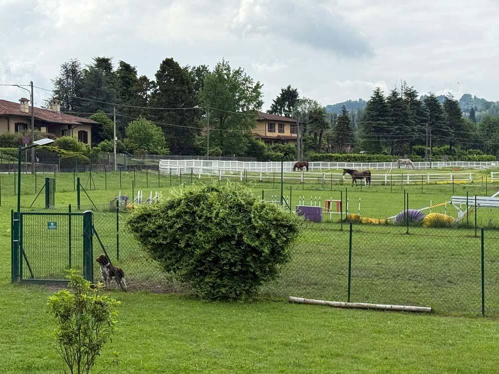 cb-smart-technology-scuola-cinofila-impianto-videosorveglianza-antintrusione-4