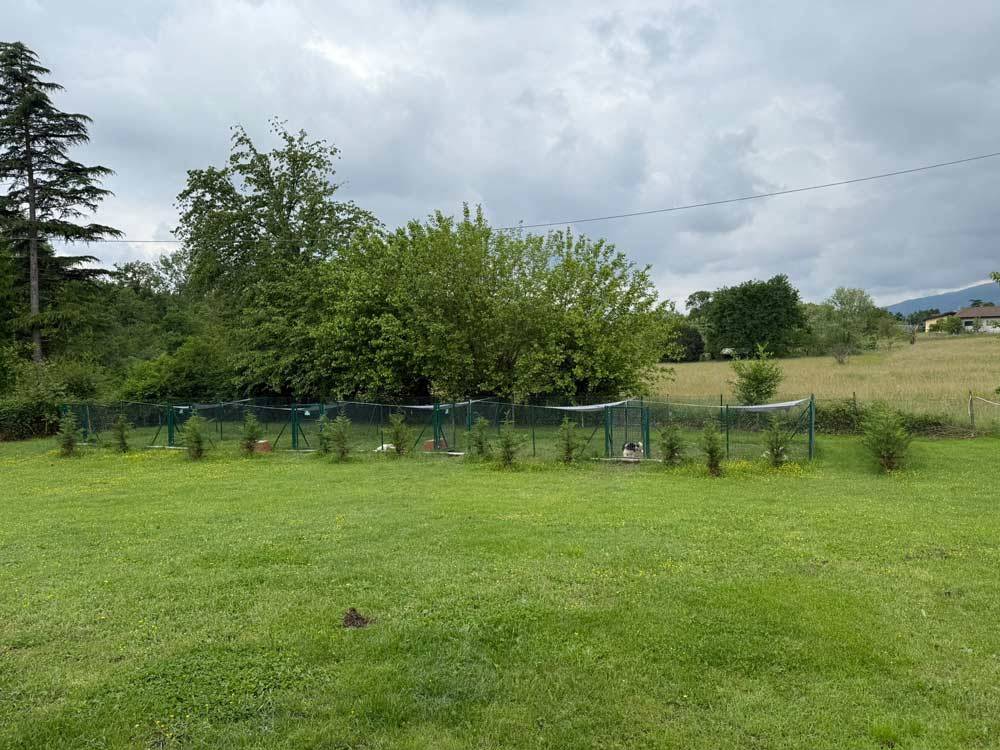 cb-smart-technology-scuola-cinofila-impianto-videosorveglianza-antintrusione-6