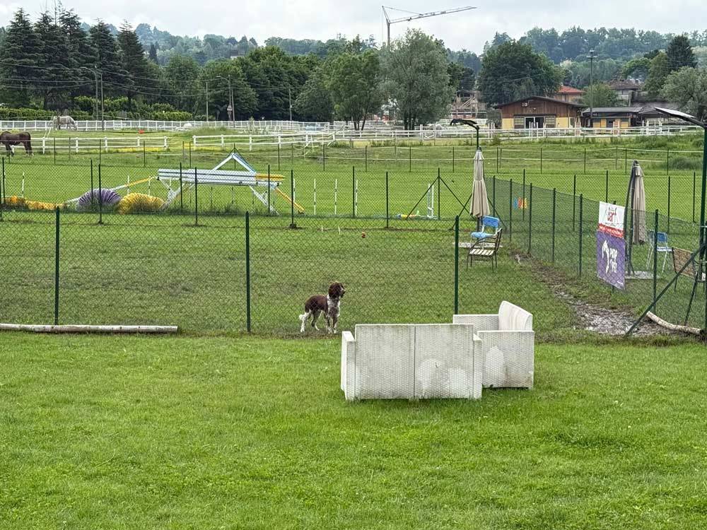 cb-smart-technology-scuola-cinofila-impianto-videosorveglianza-antintrusione-1