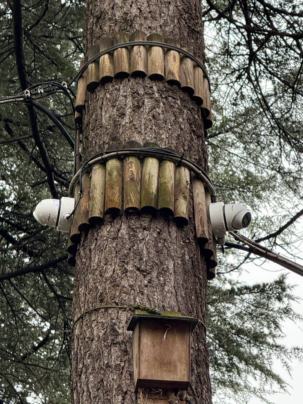 cb-smart-technology-installazione-parco-avventura-6